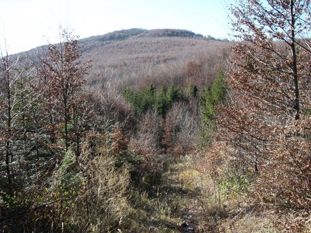 pohlad na mur od lysaka