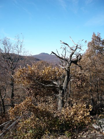 pohlad z lysaka na vihorlat